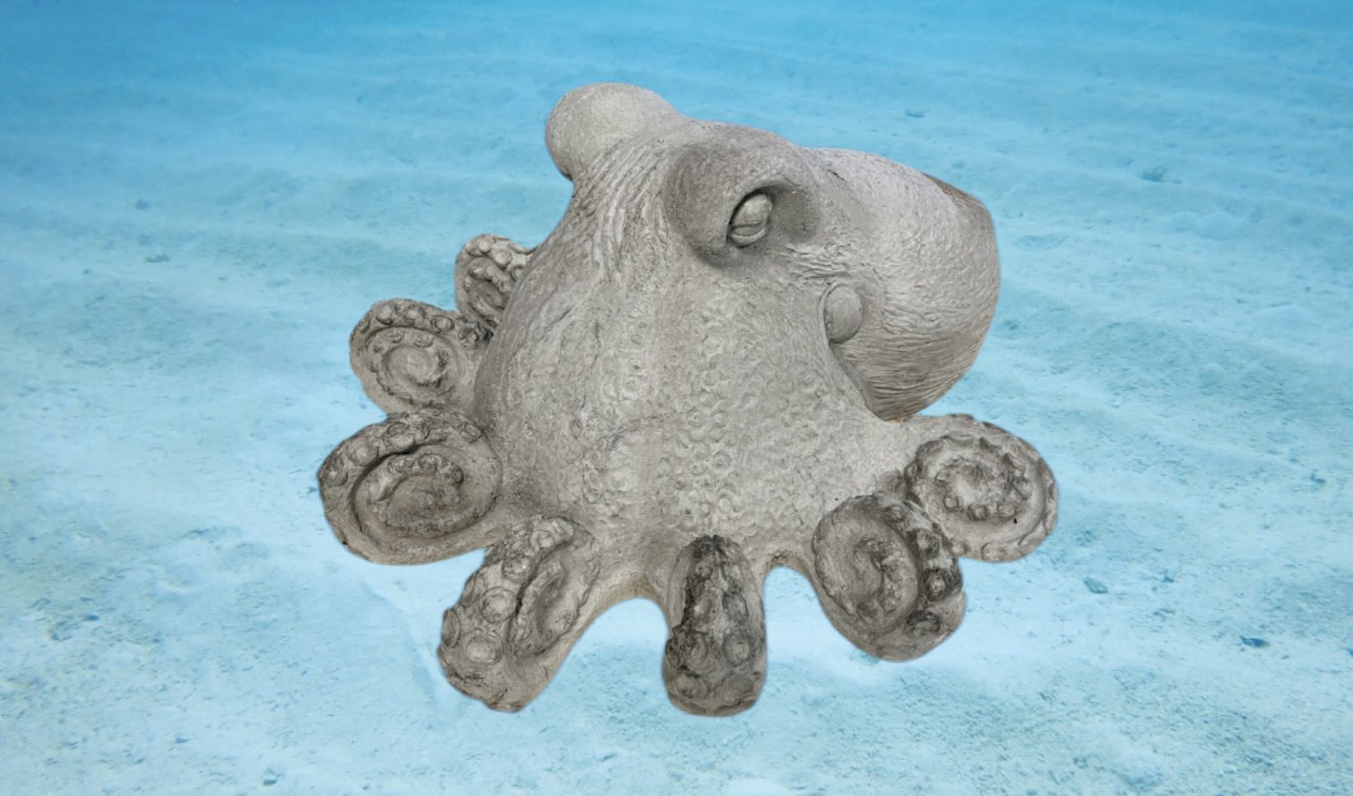 Giant Octopus - Image 2