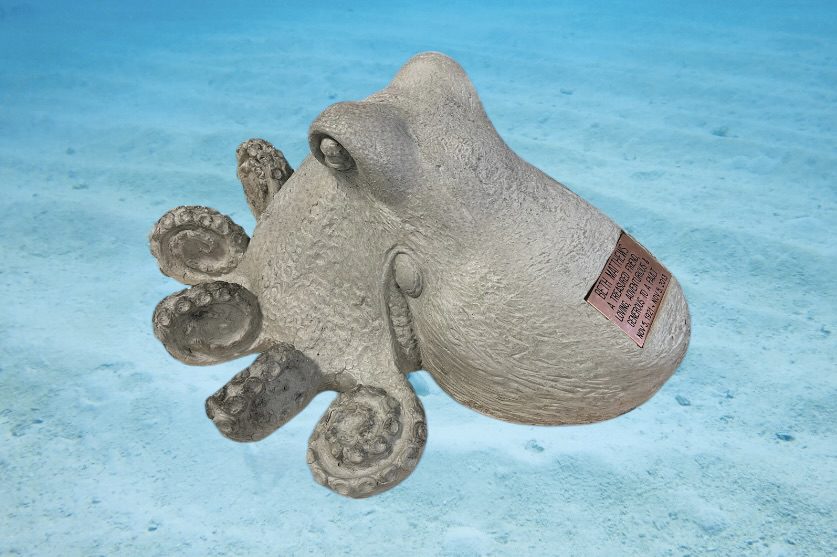 Giant Octopus - Image 3