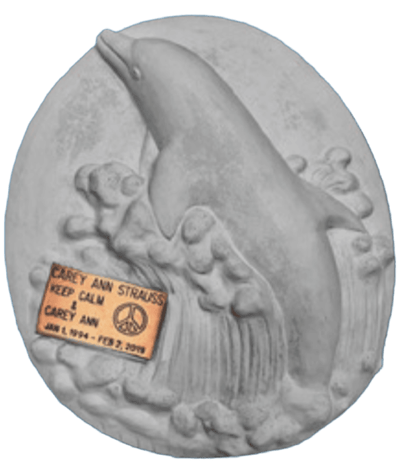 Dolphin image