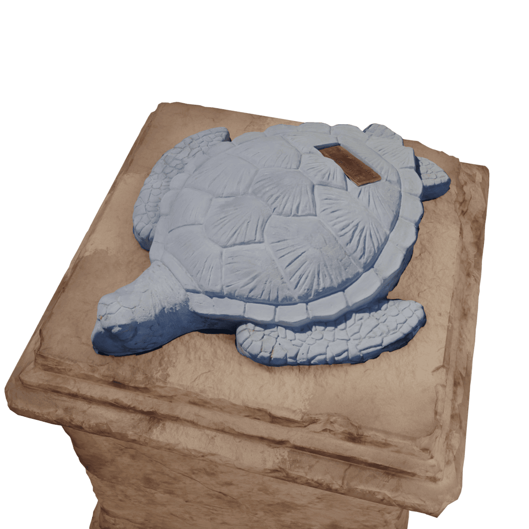 Giant Turtle - Image 5