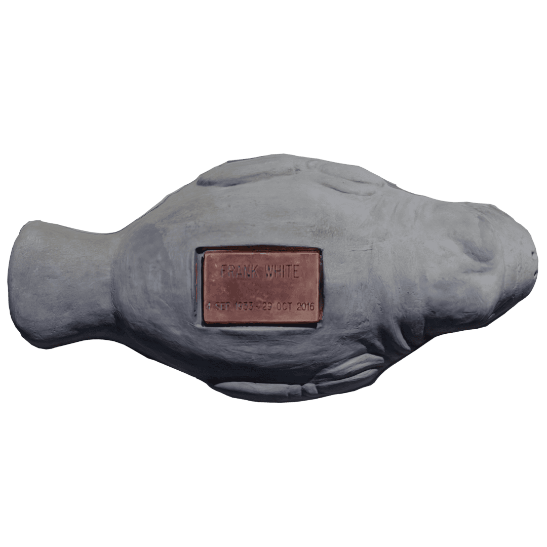 Manatee - Image 6