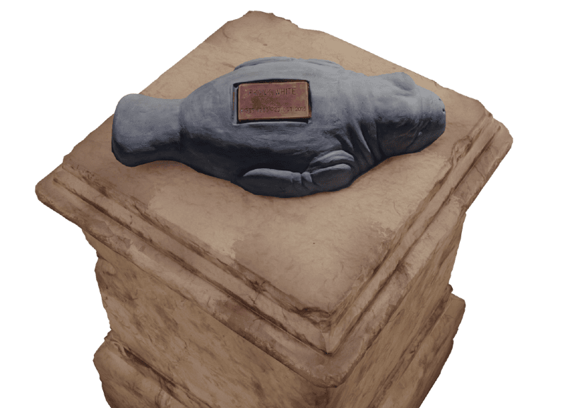 Manatee memorial image