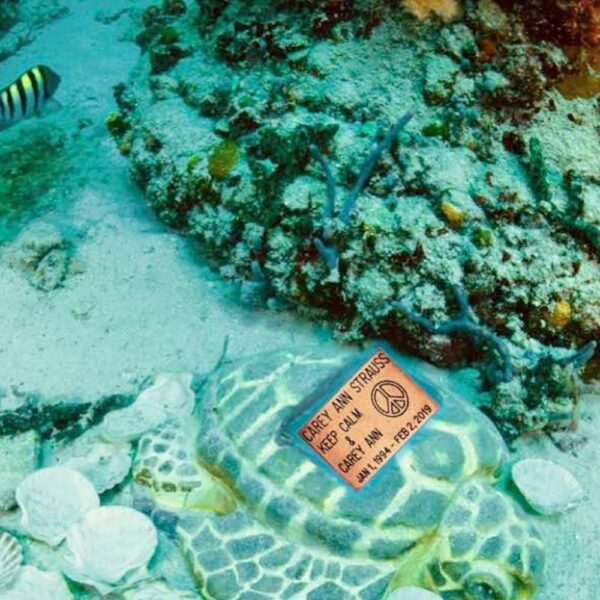 Turtle memorial image