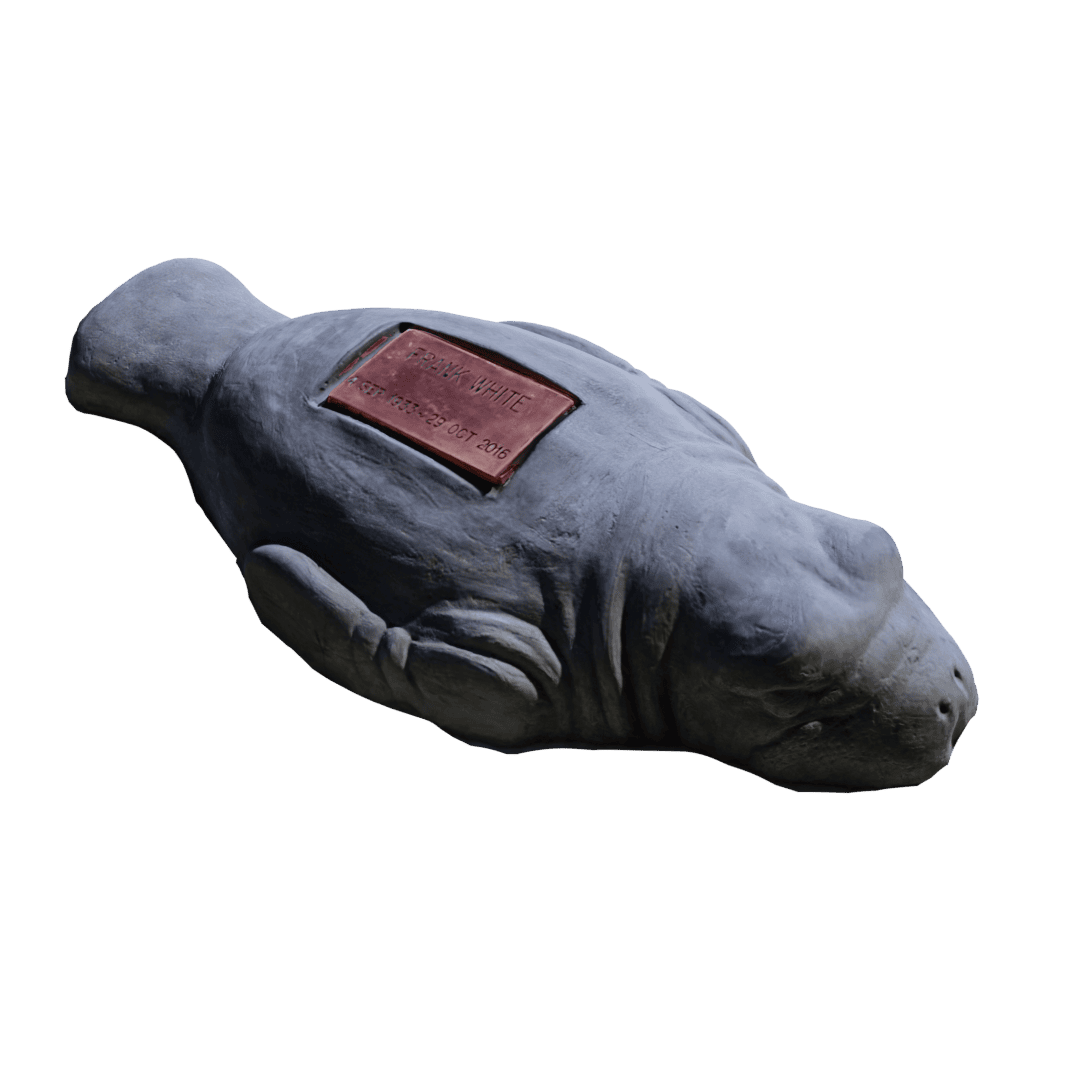 Manatee image