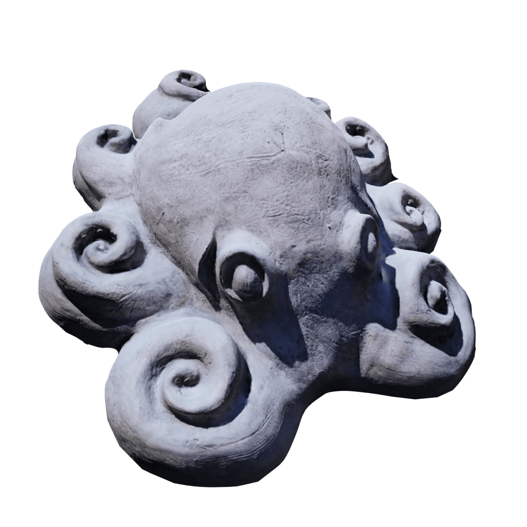 Octopus - Image 2