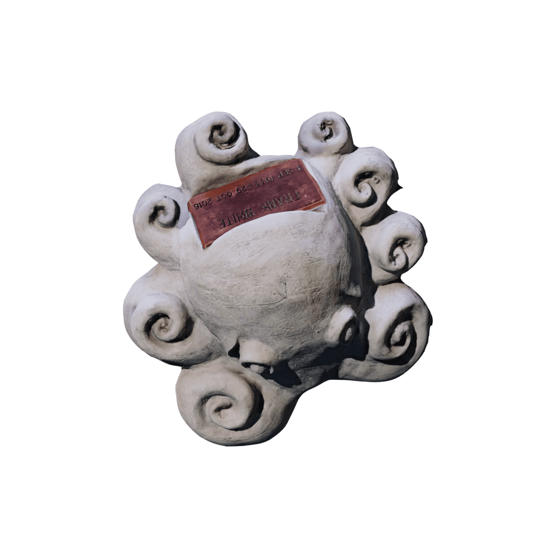 Octopus - Image 3