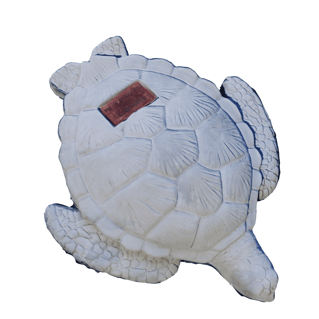 Giant Turtle - Image 2