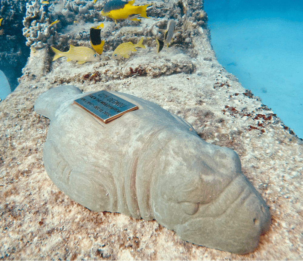 Manatee Memorial image