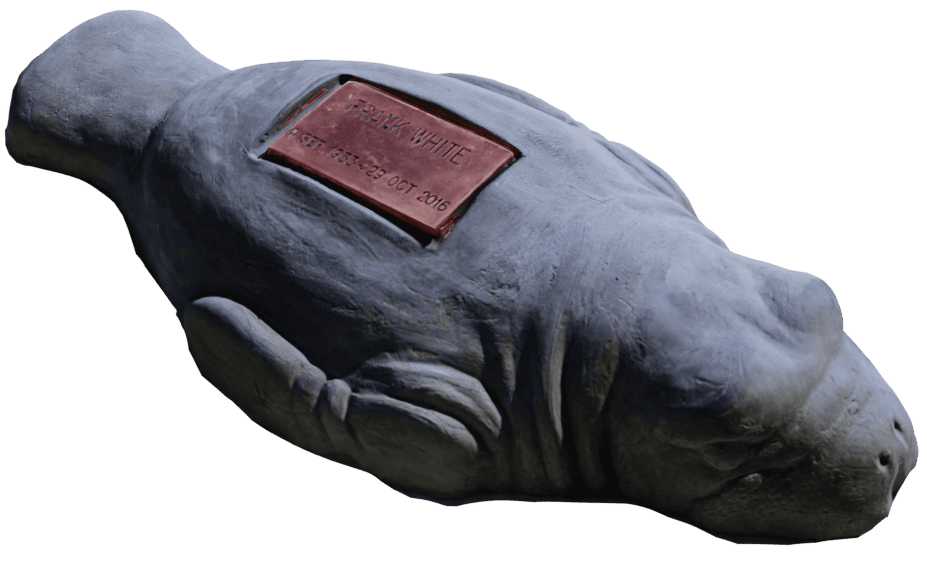 Manatee memorial image