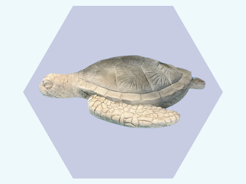 Giant Turtle memorial image